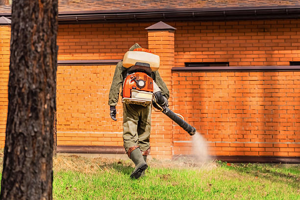 Trusted Emergency Pest Control service in Grand Meadow, MN - Nex Pest Control